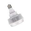 נורת הצפה לבנה E27 60W אור קר