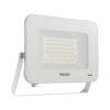 הצפה לבן EAGLE 50W IP65 אור חם