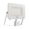 הצפה לבן EAGLE 50W IP65 אור קר עם חיישן