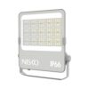פנס הצפה אפור CONAN 150W 120×50° IP66 אור ניטרלי