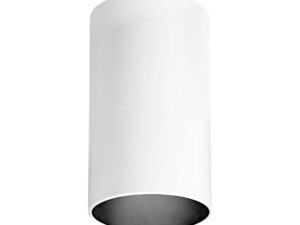 צמוד תקרה צילינדר לבן ROMI 12W אור ניטרלי