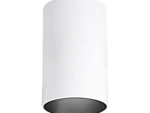 צמוד תקרה צילינדר לבן ROMI 18W אור ניטרלי