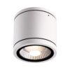 צילינדר לבן TOP 22W IP65 אור ניטרלי