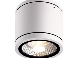 צילינדר לבן TOP 22W IP65 אור ניטרלי