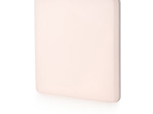 צמוד קיר/תקרה לבן ICE 24W אור קר