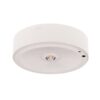 תאורת חירום חד תכליתית על הטיח גובה רב לבן SPARK 3W אור ניטרלי